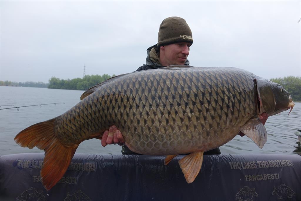 Noul record de crap comun al lacului Tancabesti a fost stabilit in aprilie.